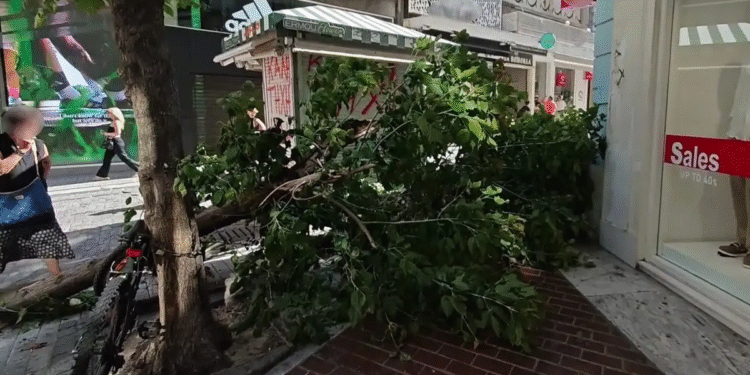Πτώση δέντρου στην Ερμού λόγω ισχυρών ανέμων