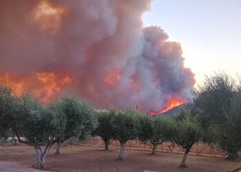  Μάχη στο πύρινο μέτωπο στα  Παλιάμπελα-αναφορές πως κάηκε ένα σπίτι