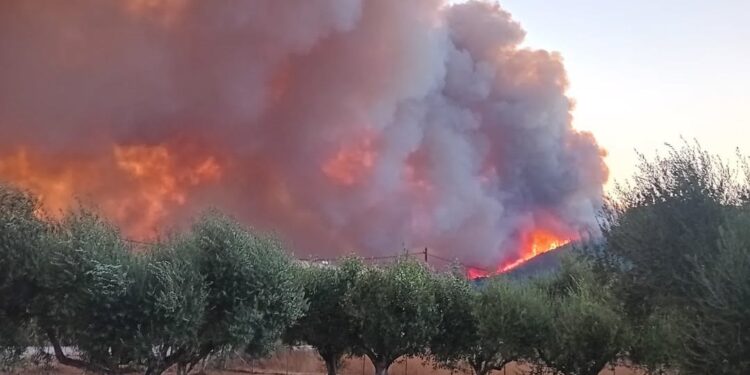  Μάχη στο πύρινο μέτωπο στα  Παλιάμπελα-αναφορές πως κάηκε ένα σπίτι