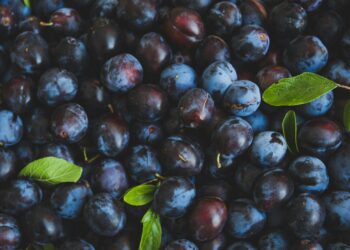 Δαμάσκηνα: Γιατί είναι το καλύτερο φρούτο μετά τις διακοπές