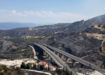 Πάτρα: Δύσκολα θα αποκατασταθεί το περιβάλλον στις καμένες περιοχές.