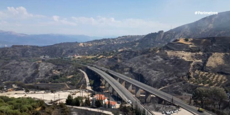 Πάτρα: Δύσκολα θα αποκατασταθεί το περιβάλλον στις καμένες περιοχές.