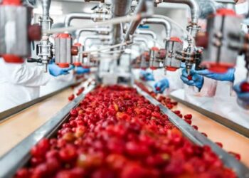 Παράταση υποβολής αιτήσεων για επενδύσεις στη μεταποίηση, εμπορία και ανάπτυξη γεωργικών προϊόντων έως 30 Σεπτεμβρίου 2025