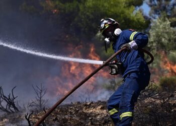 Έυβοια: ελέγχονται 3 ανήλικοι για εμπρησμούς