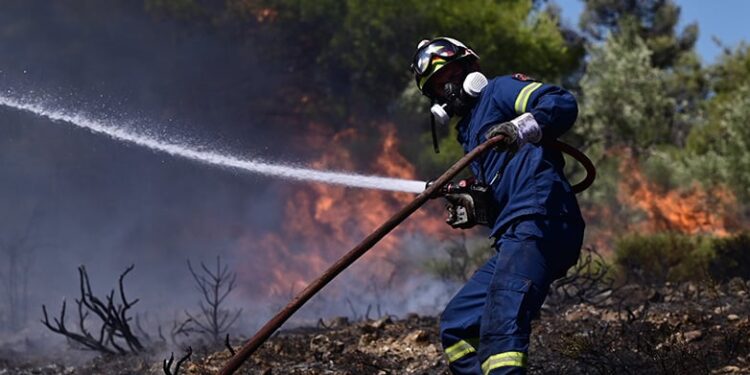 Έυβοια: ελέγχονται 3 ανήλικοι για εμπρησμούς