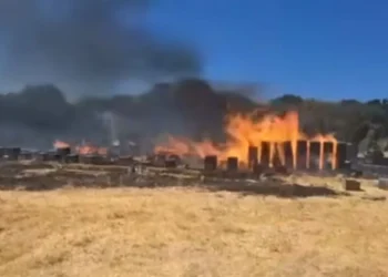 Oριοθέτησαν τη φωτιά στον Χορτιάτη Θεσσαλονίκης. Πιθανολογείται ότι ξεκίνησε από μελίσσια.