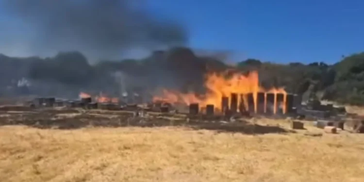 Oριοθέτησαν τη φωτιά στον Χορτιάτη Θεσσαλονίκης. Πιθανολογείται ότι ξεκίνησε από μελίσσια.