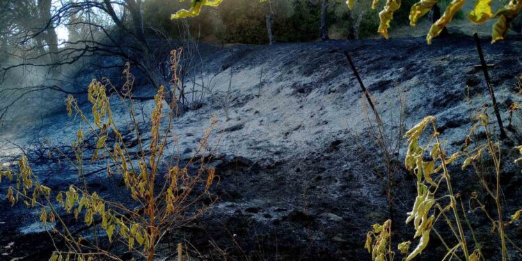 Η φωτιά στην Ποταμούλα τέθηκε υπό πλήρη έλεγχο