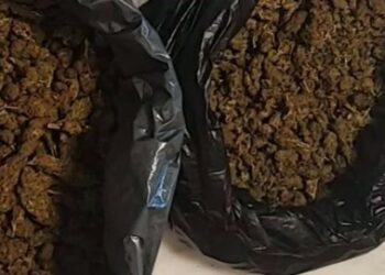 Χανιά: Κατασχέθηκαν πάνω από 7 κιλά κάνναβης σε αστυνομική επιχείρηση – Τραυματίστηκαν αστυνομικοί