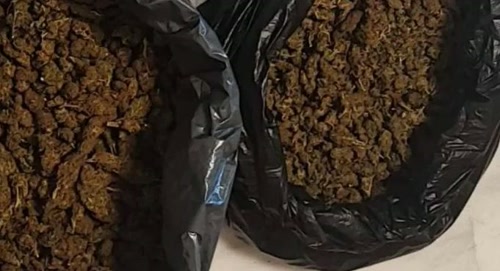 Χανιά: Κατασχέθηκαν πάνω από 7 κιλά κάνναβης σε αστυνομική επιχείρηση – Τραυματίστηκαν αστυνομικοί