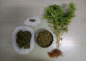 Συνελήφθη άνδρας στο Μεσολόγγι για καλλιέργεια και κατοχή ναρκωτικών (ΦΩΤΟ)