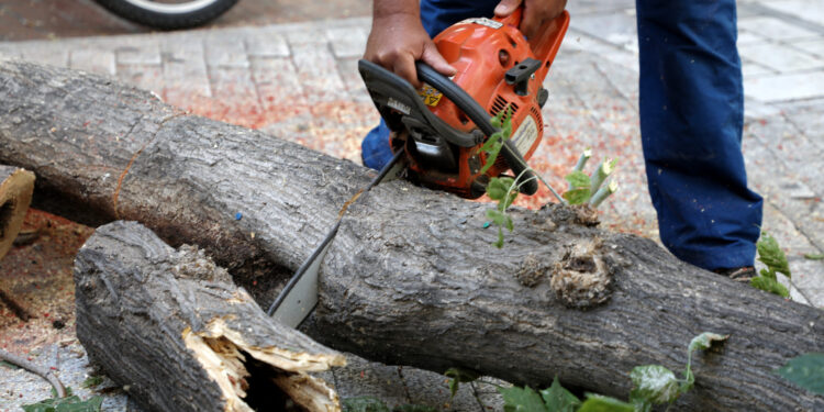 Θεσσαλονίκη:Μαρτυρία του δημοτικού υπαλλήλου που δέχτηκε επίθεση από 34χρονο εν ώρα εργασίας
