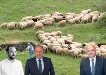 Μπαίνει μπροστά ο Νεκτάριος Φαρμάκης για να αποζημιωθούν οι κτηνοτρόφοι για τα αιγοπρόβατα|Πώς είδε το αίτημα του Περιφερειάρχη ο υπουργός