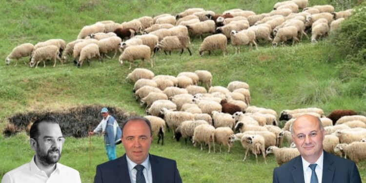 Μπαίνει μπροστά ο Νεκτάριος Φαρμάκης για να αποζημιωθούν οι κτηνοτρόφοι για τα αιγοπρόβατα|Πώς είδε το αίτημα του Περιφερειάρχη ο υπουργός