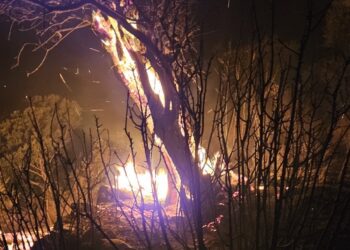 Ναυπακτία: Πυρκαγιά σε κολώνα της ΔΕΗ στην κάτω Καλαβρούζα