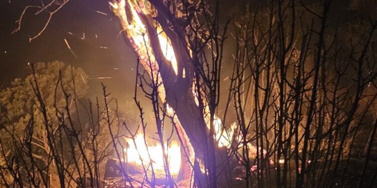 Ναυπακτία: Πυρκαγιά σε κολώνα της ΔΕΗ στην κάτω Καλαβρούζα