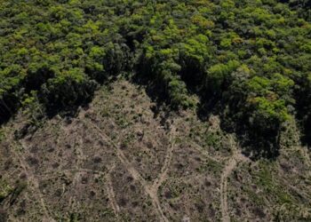 Ο Αμαζόνιος «αιμορραγεί» – Τεράστια απώλεια βλάστησης στη Βραζιλία