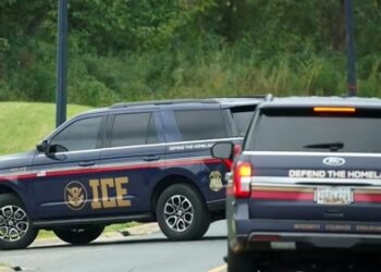 ΗΠΑ: Έφοδος στο εργοστάσιο Hyundai στη Τζόρτζια με 450 συλλήψεις