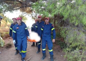 Λευκάδα: ΕΚΑΒ και Πυροσβεστική έσωσαν γυναίκα σε παραλία