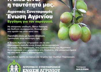 Παραλαβή βρώσιμης ελιάς