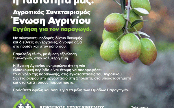 Παραλαβή βρώσιμης ελιάς