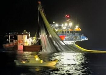 Αιγαίο: Ο ακήρυχτος πόλεμος για τα ψάρια, από το Θρακικό Πέλαγος έως τα Δωδεκάνησα