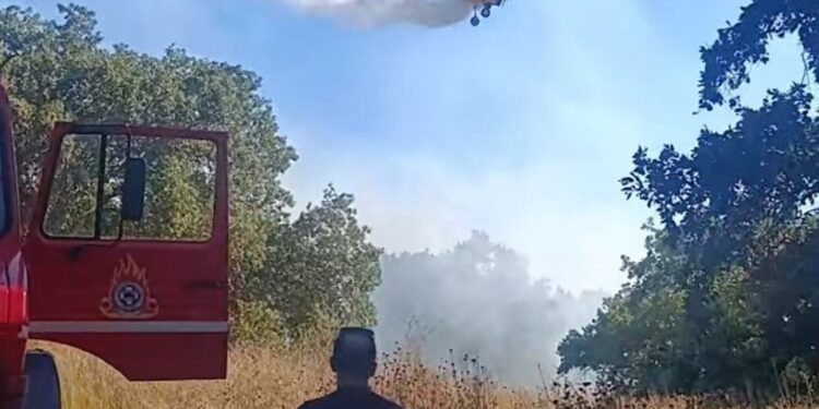 Μεγάλη φωτιά κοντά στο θέατρο Οινιάδων