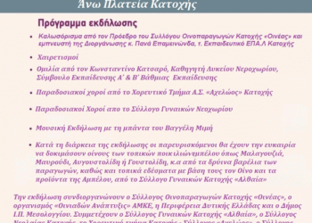Συνεχίζονται οι προετοιμασίες στις Οινιάδες, για την μεγάλη γιορτή του Οίνου
