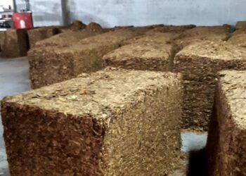 ΑΑΔΕ: Σοκαριστικά ευρήματα σε παράνομα καπνικά προϊόντα – Περιττώματα ζώων, νύχια και μούχλα