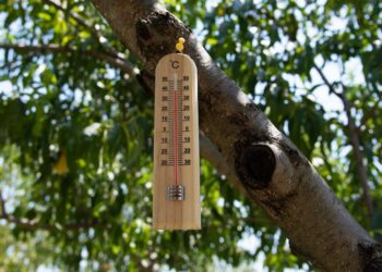 Κ. Καρτάλης: Θάνατοι στην Αθήνα  λόγω της κλιματικής αλλαγής. Αύξηση της επικινδυνότητας