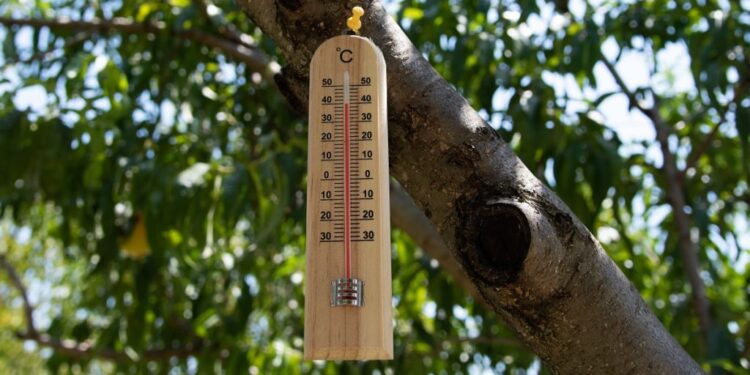 Κ. Καρτάλης: Θάνατοι στην Αθήνα λόγω της κλιματικής αλλαγής. Αύξηση της επικινδυνότητας