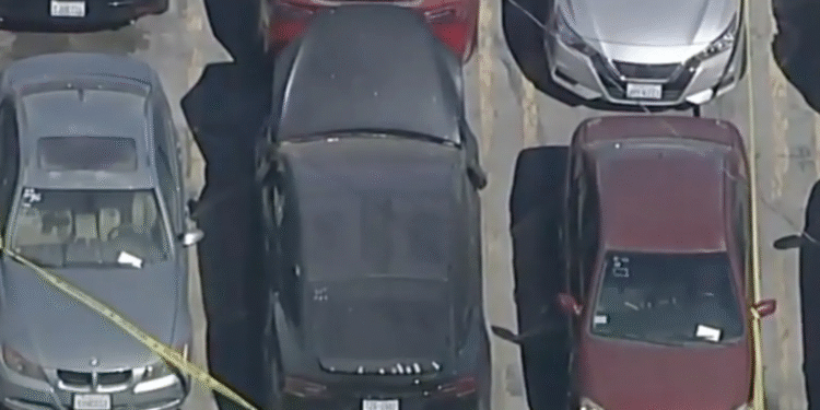 ΗΠΑ:  Πτώμα  βρέθηκε σε εγκαταλελειμμένο Tesla – Το αυτοκίνητο ανήκει σε γνωστό τραγουδιστή