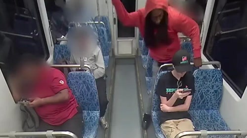 ΗΠΑ: Σοκ από εν ψυχρώ δολοφονία 23χρονης σε τρένο