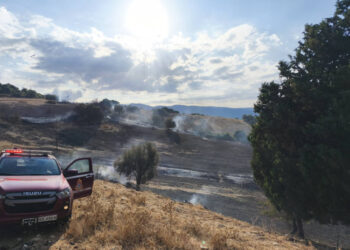 Βόνιτσα: Καρακάξα η αιτία για την φωτιά στην Πλαγιά