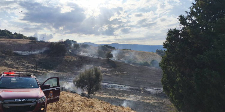 Βόνιτσα: Καρακάξα η αιτία για την φωτιά στην Πλαγιά