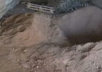 Βοιωτία: Τουλάχιστον 4 χρόνια πριν είχε πεθάνει η μητέρα της – Ανοίγουν οι λογαριασμοί της 62χρονης