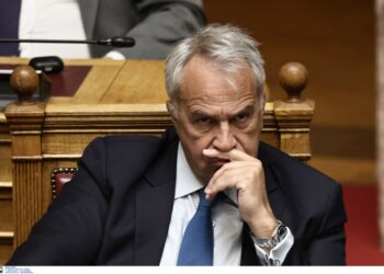 Τσουκαλάς: Να πούμε χρόνια πολλά στον Μάκη Βορίδη που γιορτάζει την παραγραφή των αδικημάτων του