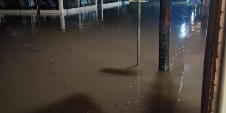 Πνίγηκαν ξανά στο Μεσολόγγι αλλά και στις περιοχές του Αιτωλικού και του Νεοχωρίου