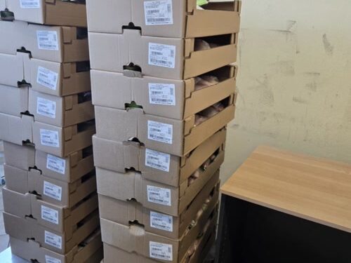 Διανομή τροφίμων από τη Διεύθυνση Κοινωνικής Προστασίας του Δήμου Αγρινίου