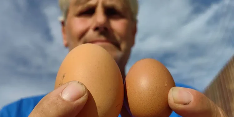 Ναύπλιο: Αυγό γίγας σε κοτέτσι αγρότη – Βίντεο και φωτογραφίες από το σπάνιο εύρημα