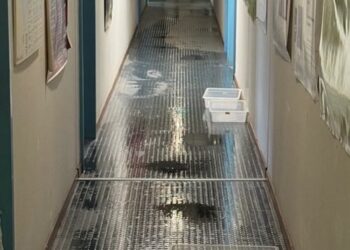 Κλείνει το κτίριο της Γεωπονικής λόγω ζημιών από νεροποντή – Απαιτούνται έλεγχοι