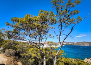 Καιρός: Bελτίωση το Σαββατοκύριακο