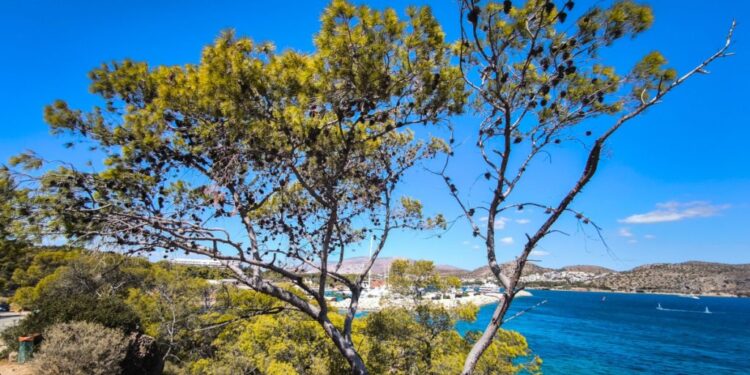 Καιρός: Bελτίωση το Σαββατοκύριακο