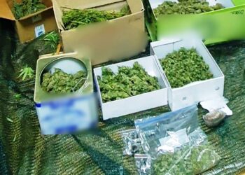 Αγρίνιο: Είχε το χασίς κρυμμένο σε… αυγά (ΦΩΤΟ)