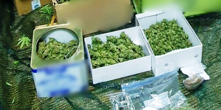 Αγρίνιο: Είχε το χασίς κρυμμένο σε… αυγά (ΦΩΤΟ)