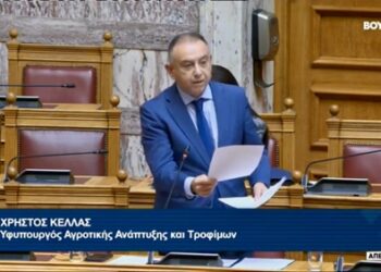 Χρ. Κέλλας στη Βουλή: «Δεν υπάρχει αδειοδοτημένο εμβόλιο κατά της ευλογιάς σε Ελλάδα και Ευρώπη»