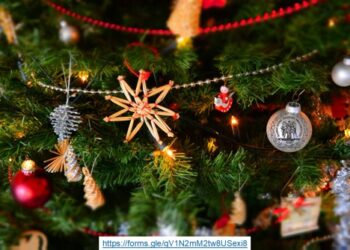 Πρόσκληση Δήμου Ιερής Πόλης Μεσολογγίου για υποβολή προτάσεων χριστουγεννιάτικων εκδηλώσεων 2025