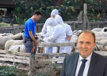 Ο Αντιπεριφερειάρχης Αγροτικής Ανάπτυξης Ανδρέας Φίλιας, στον energy 94,2 για την παράνομη μεταφορά ζώντων ζώων