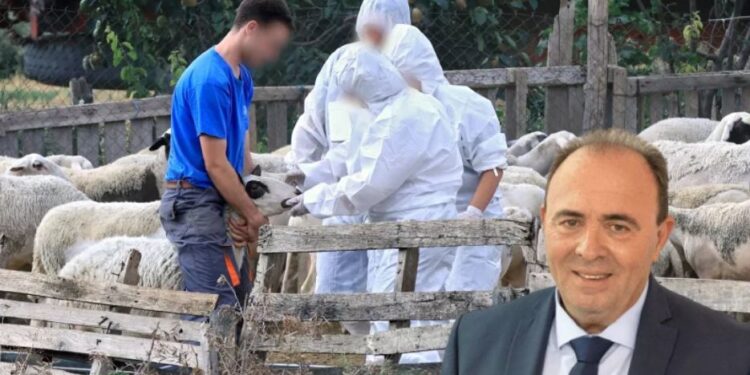 Ο Αντιπεριφερειάρχης Αγροτικής Ανάπτυξης Ανδρέας Φίλιας, στον energy 94,2 για την παράνομη μεταφορά ζώντων ζώων