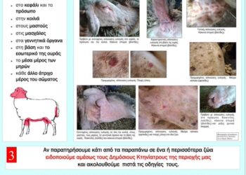 Ξηρόμερο: Σύσταση του Δήμου στους κτηνοτρόφους για αυστηρή τήρηση μέτρων βιοασφάλειας κατά της ευλογιάς